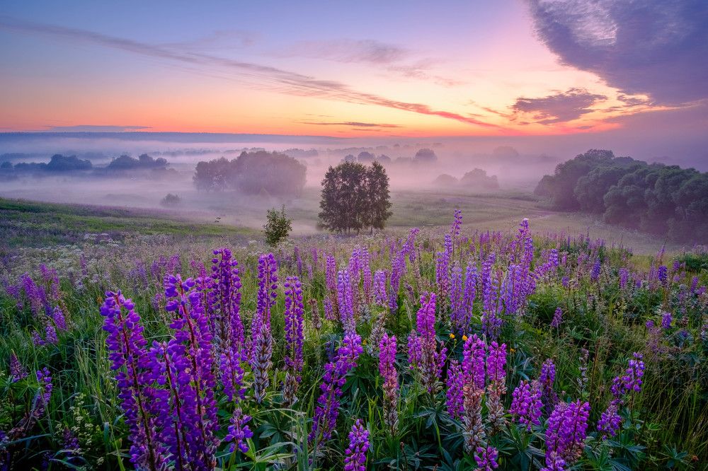 Photograph by Александр Корженков