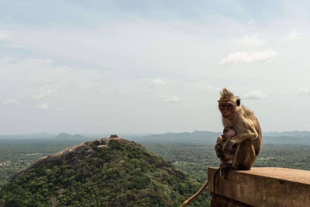 Photograph by Татьяна