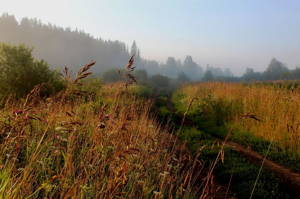 Photograph by Евсеева Валентина