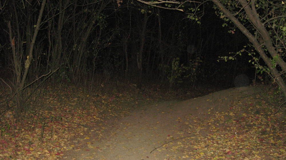 Photo #11236416