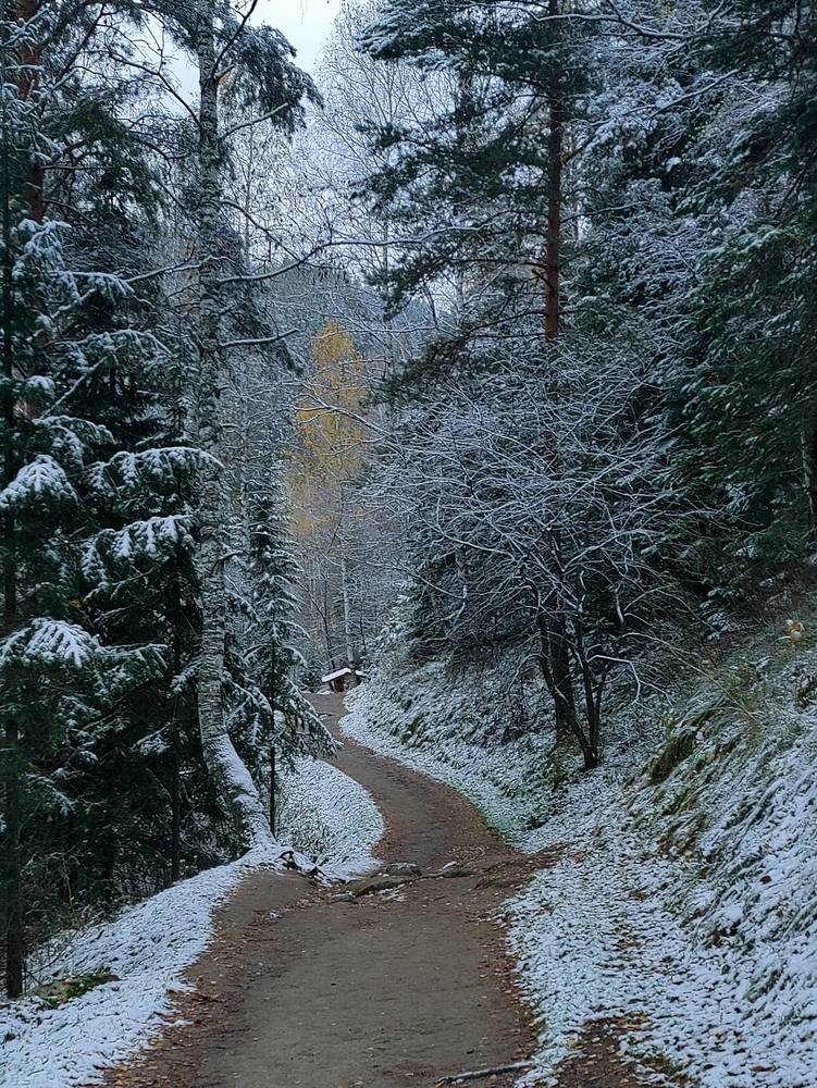 Photograph by Татьяна Гулакова