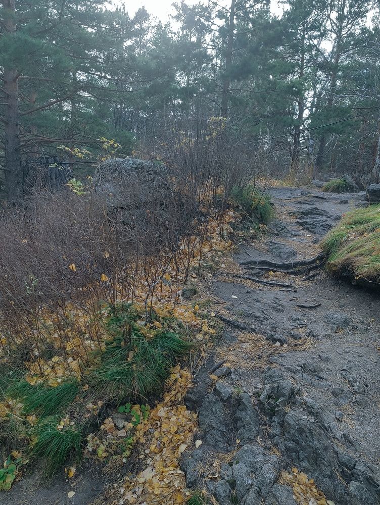 Photograph by Татьяна Гулакова