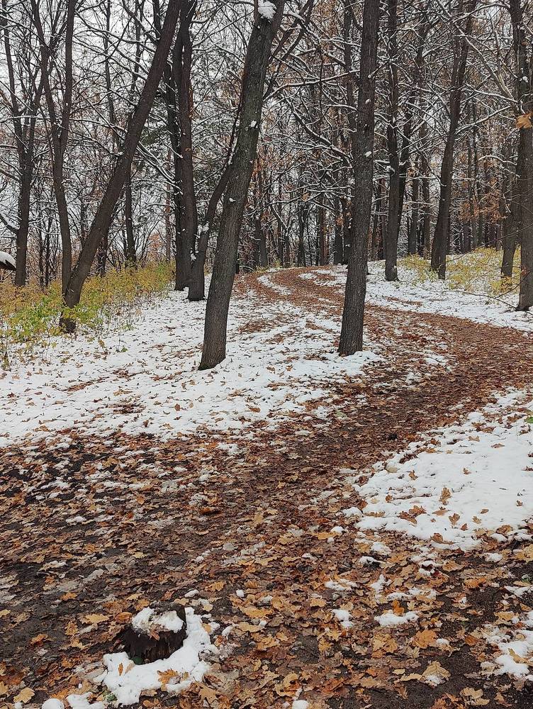 Photograph by Татьяна Гулакова