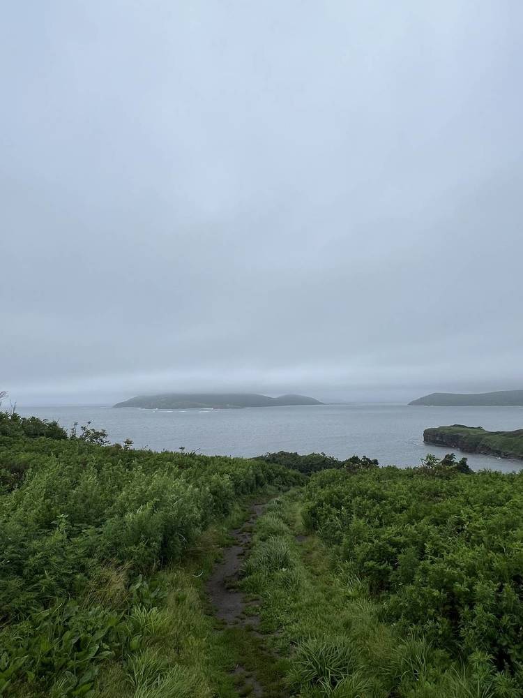 Photograph by Татьяна Блохина