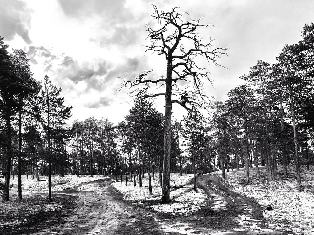 Photograph by Татьяна Блохина