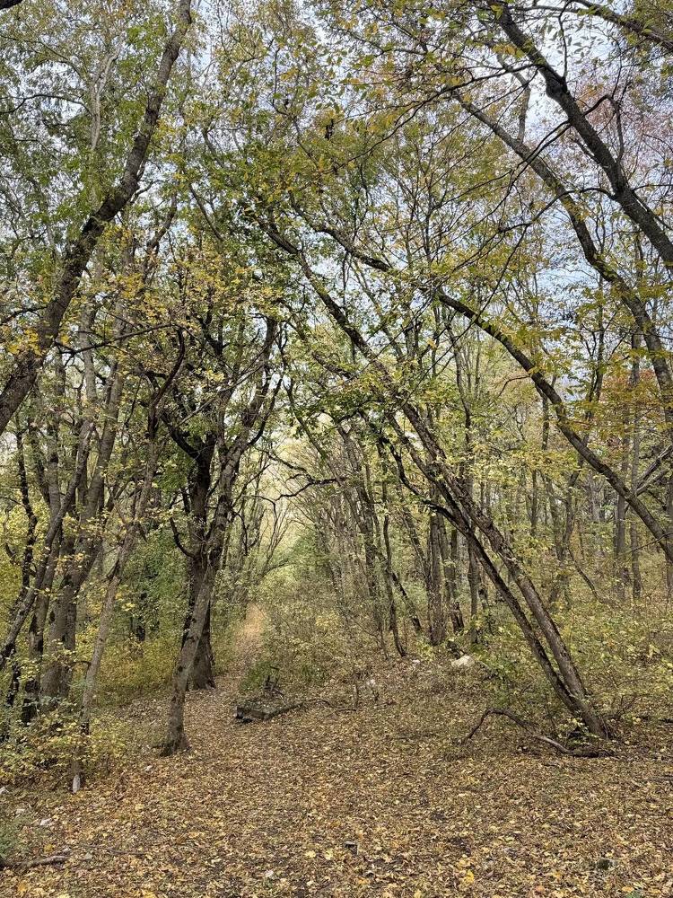 Photograph by Татьяна Блохина