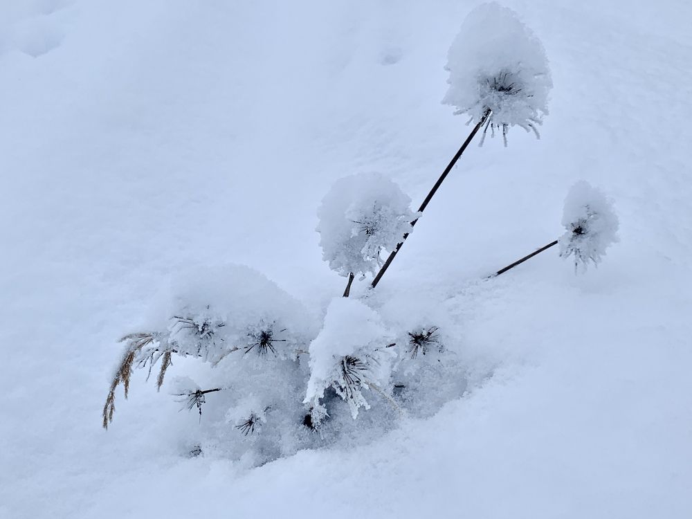 Photograph by Елена Смирнова