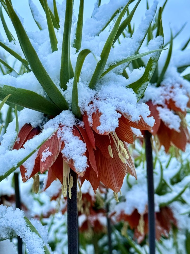 Photograph by Елена Смирнова