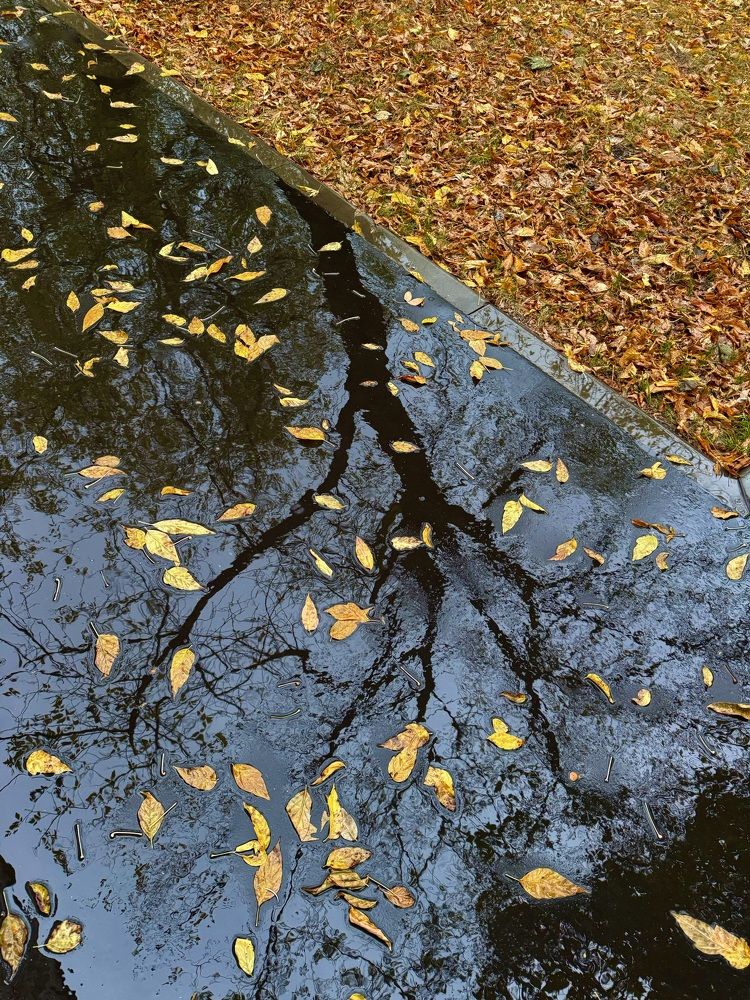 Photograph by Елена Смирнова