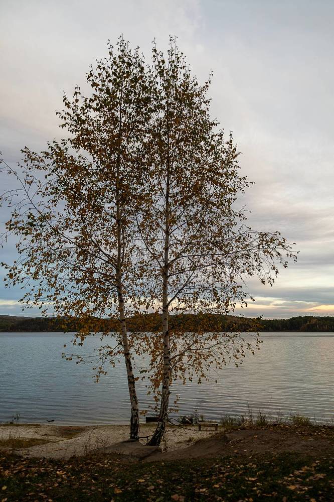 Photograph by Дмитрий Ледяев