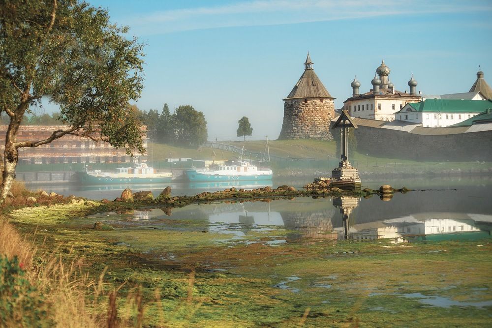 Фотография автора Виктория Шаманова