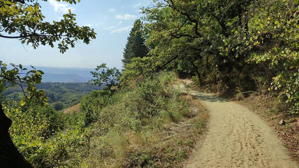 Photograph by Руслан Гончар