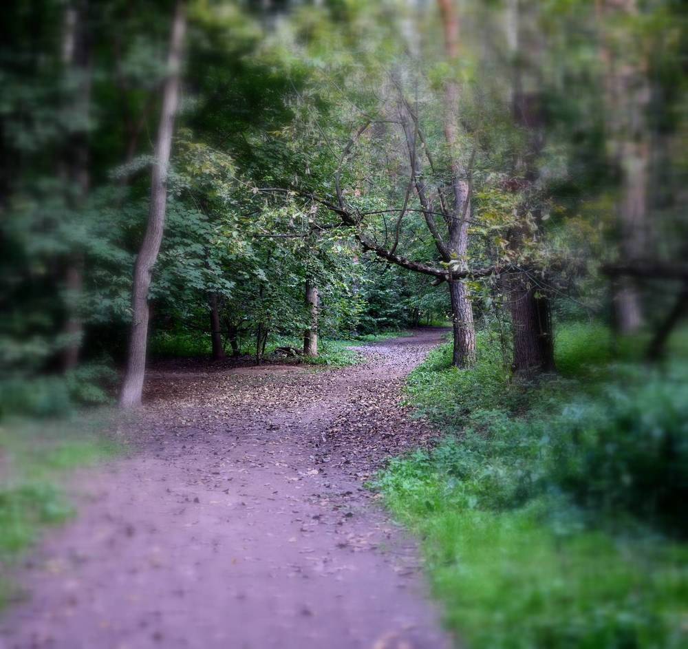 Photograph by Пётр Артемьев