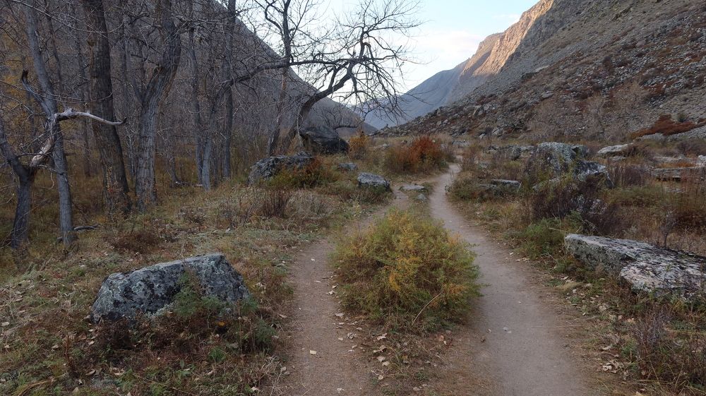 В долине реки Чулышман