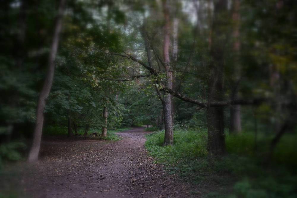 Photograph by Пётр Артемьев