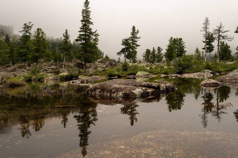 Photograph by Дмитрий Ледяев