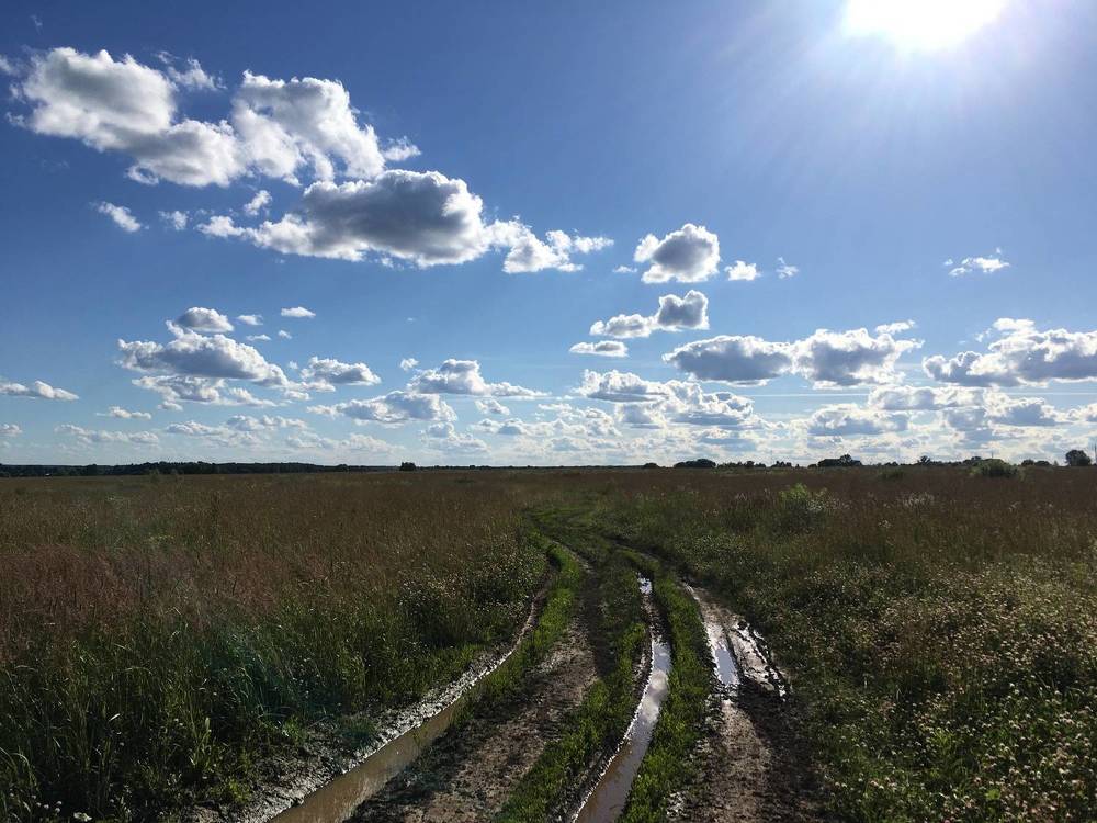 Photograph by Игорь Ребров