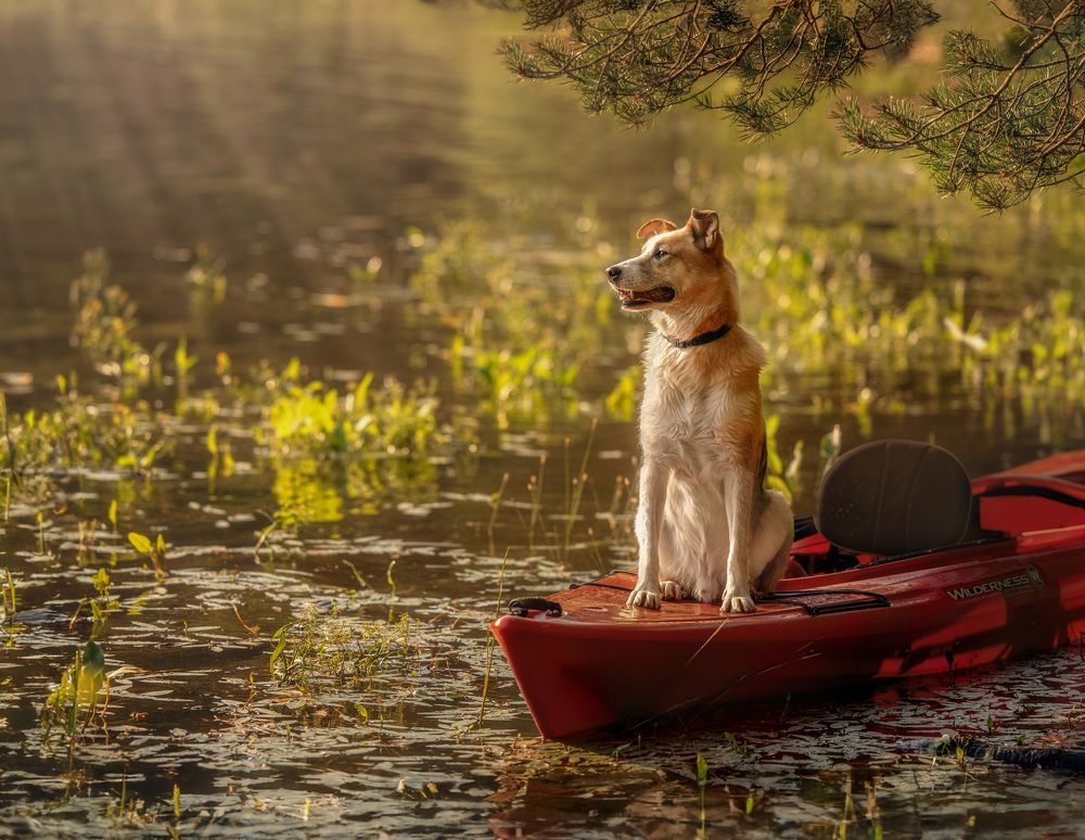 Photograph by Татьяна Тихомирова