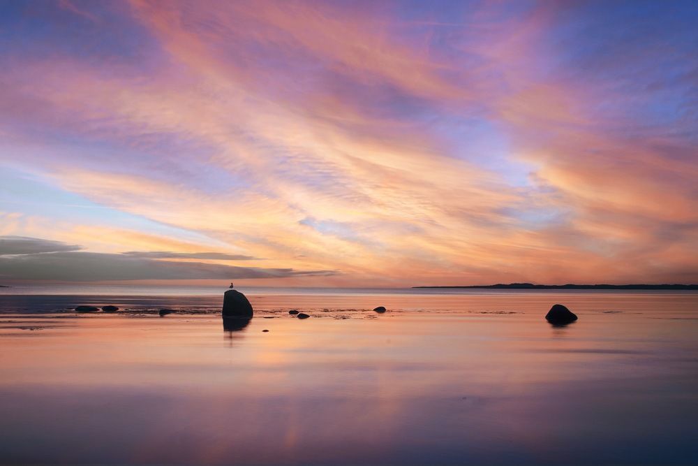 Фотография автора Виктория Шаманова