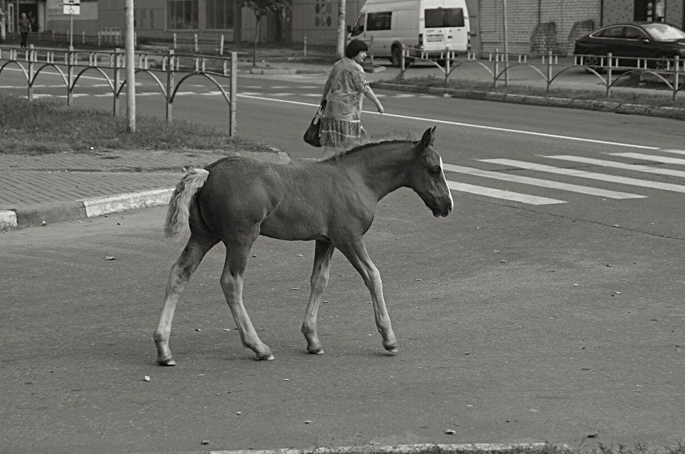 Photograph by Светлана Логинова