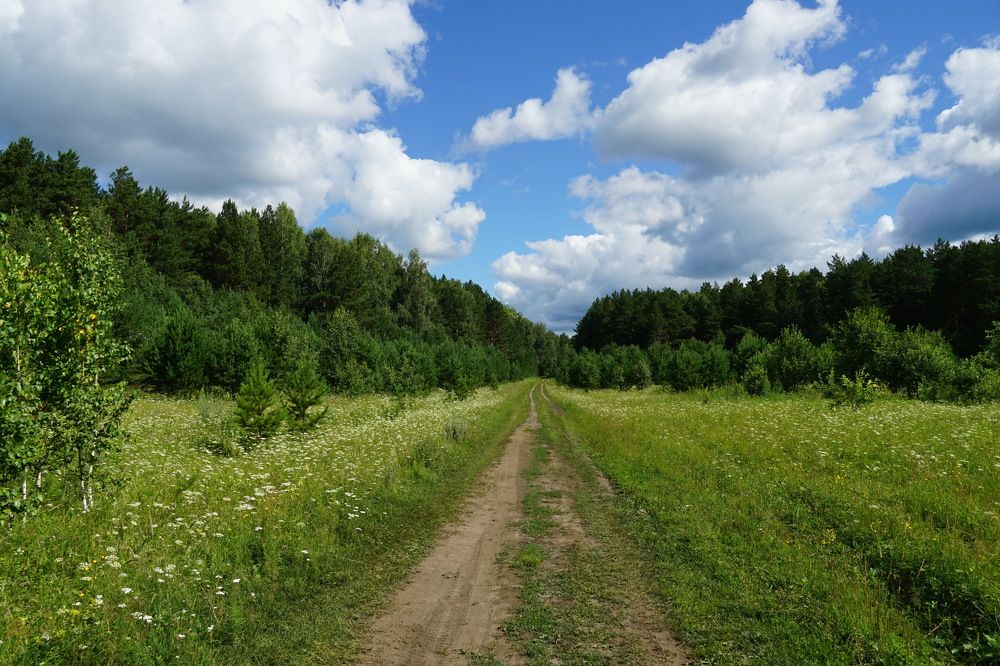 Photograph by Галина Кан