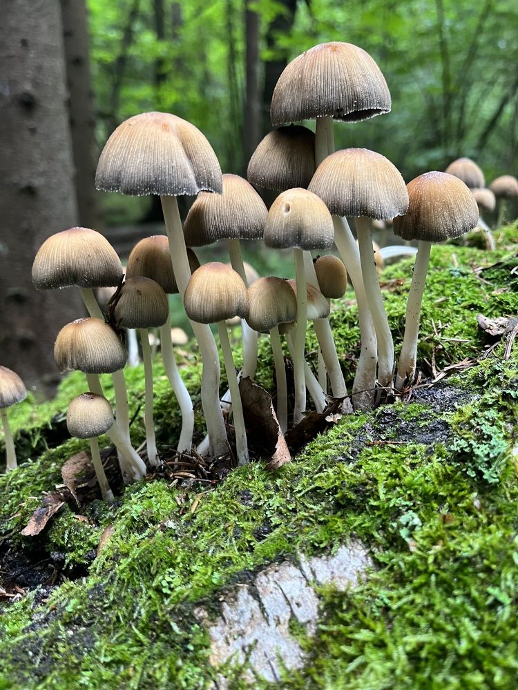 Photograph by Евгения Лазарева