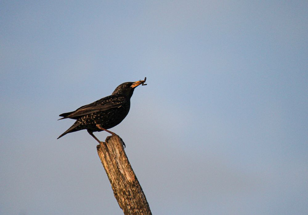 Photograph by Елена Сырцева