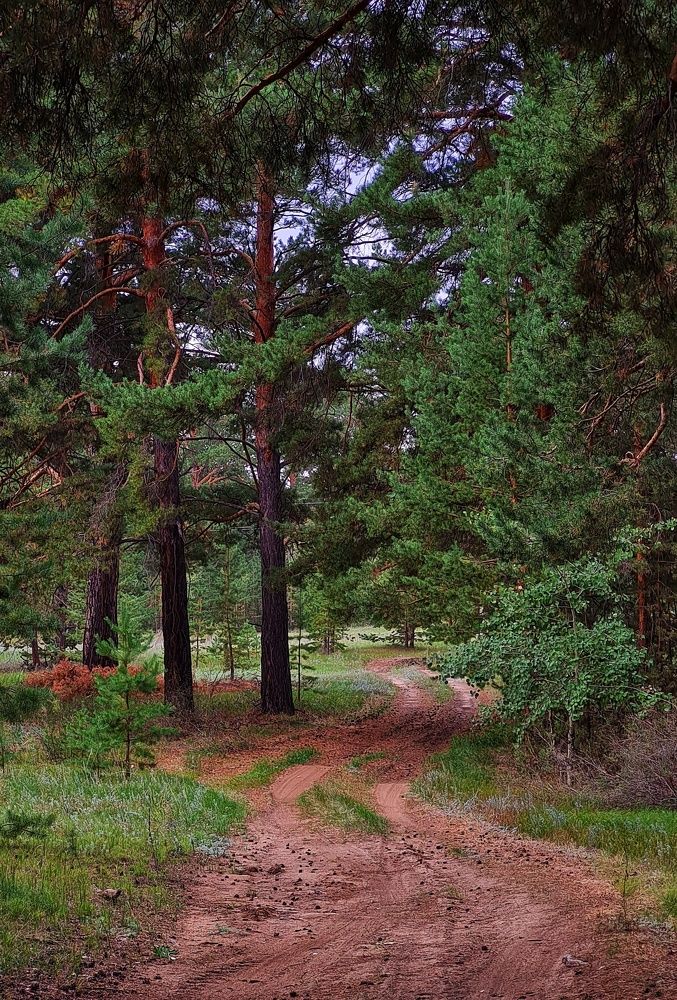 Photograph by Ольга Веселова