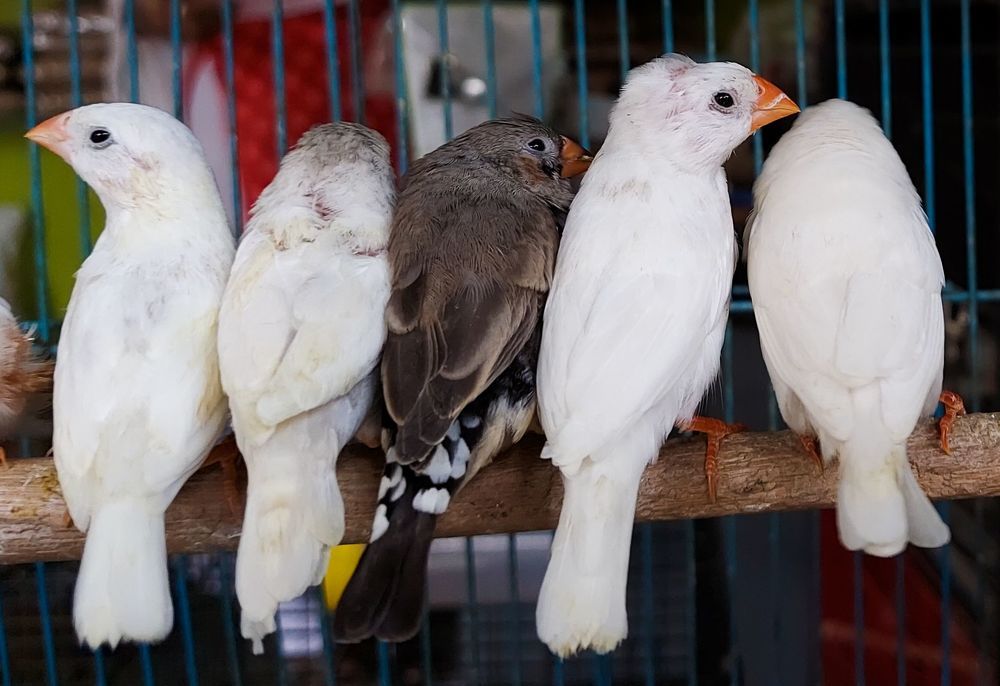 Photograph by Mathew Nishanth A