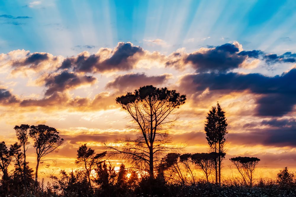 Photograph by Lana Soldatova