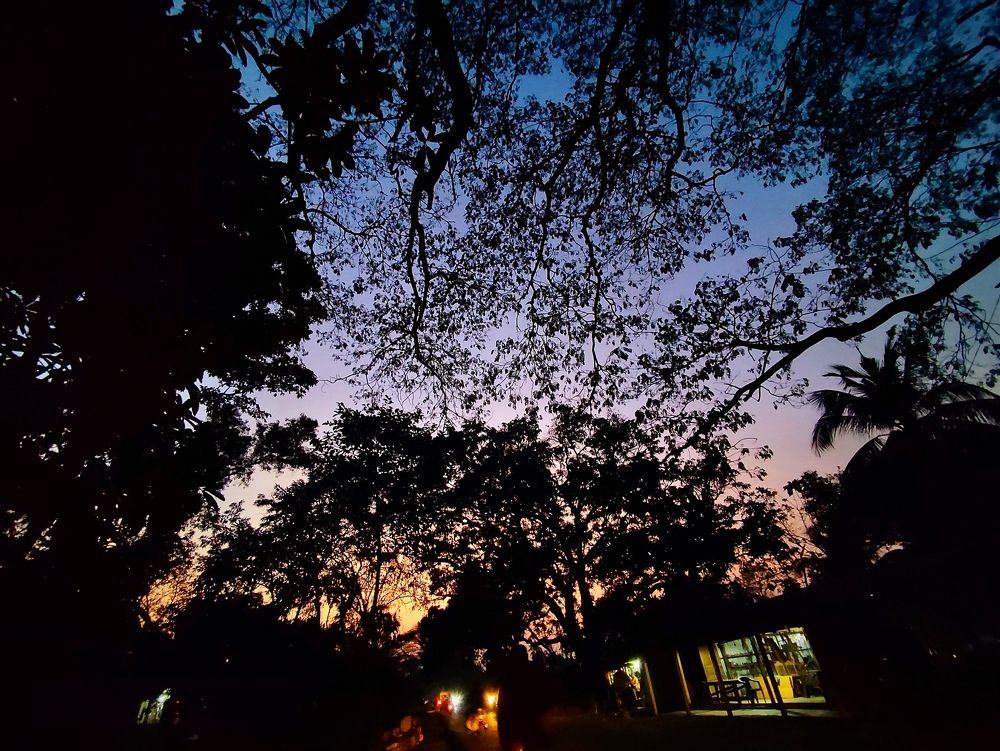 Фотография автора Debdutt Saha