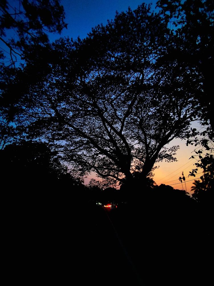 Фотография автора Debdutt Saha