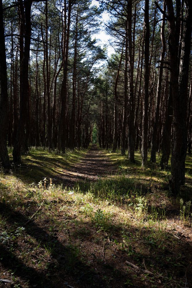 Photograph by Елена Аверина