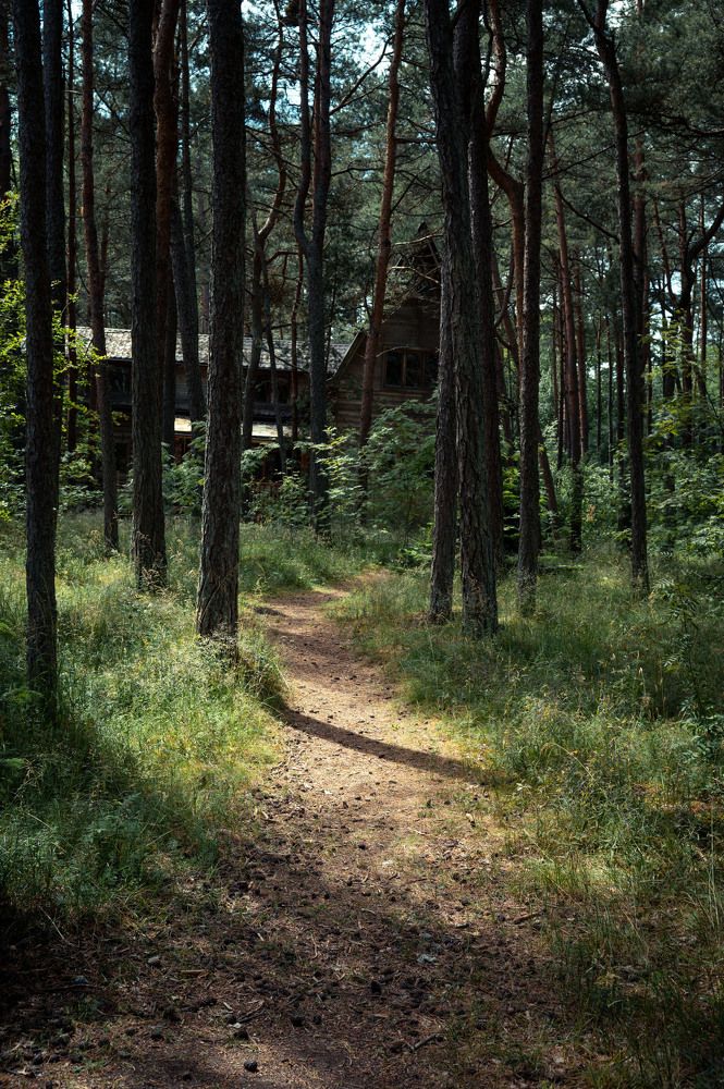 Photograph by Елена Аверина