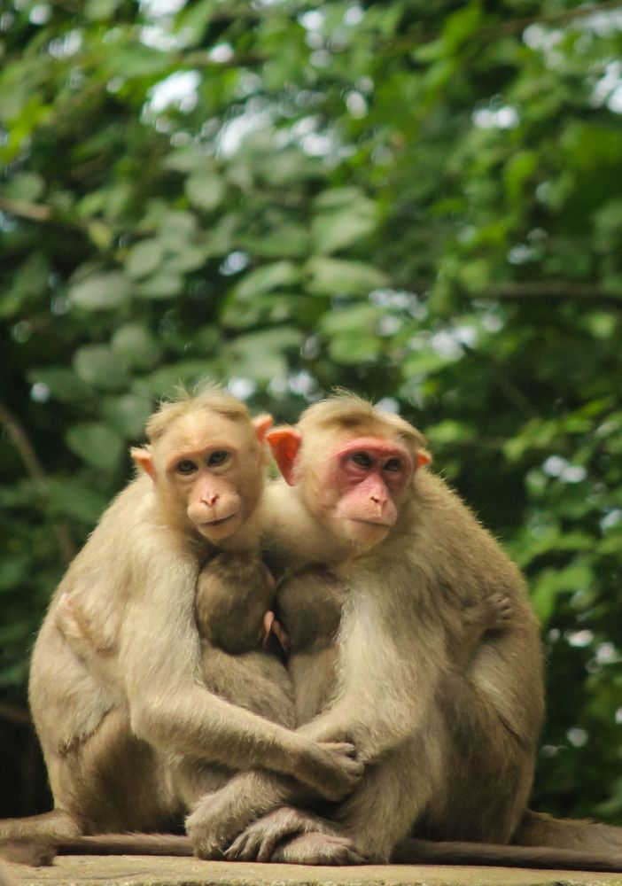 Photograph by Mathew Nishanth A