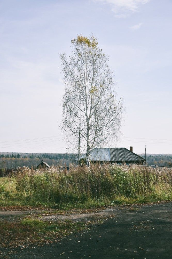 Photograph by Элеонора Безженова