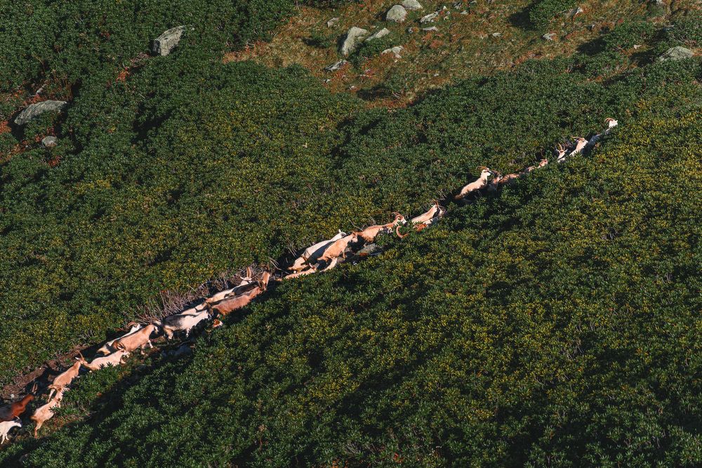 Photograph by Анастасия Мазурева