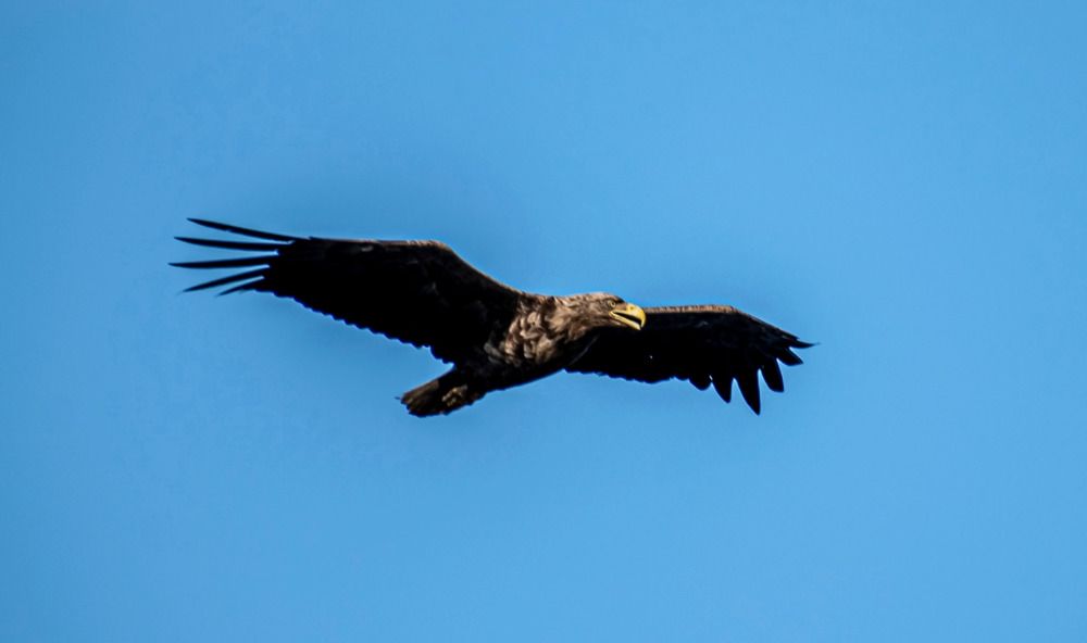 Photograph by Irina Luidinshina