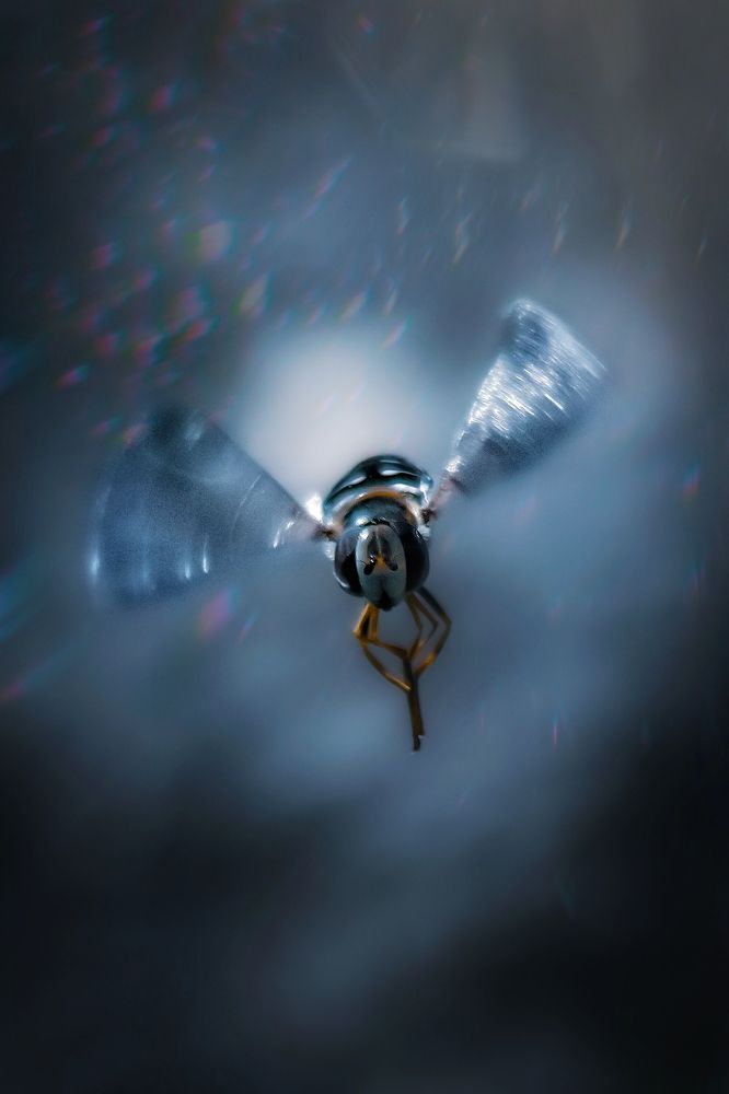 Photograph by Yuliya Karpova