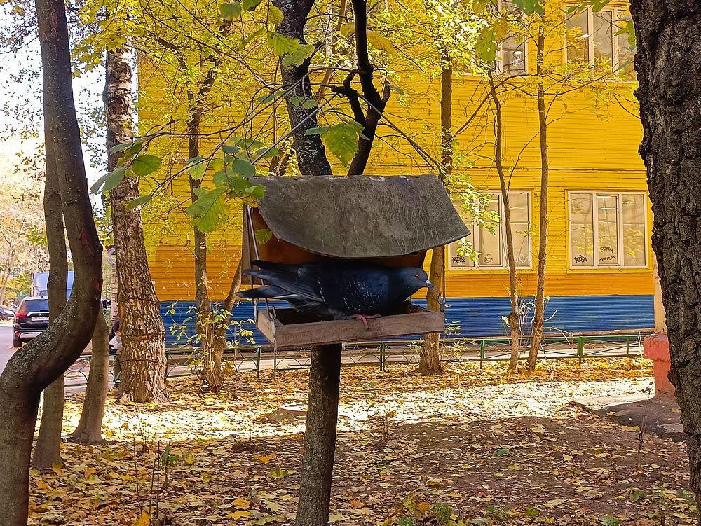 Фотография автора Андрей Занкович