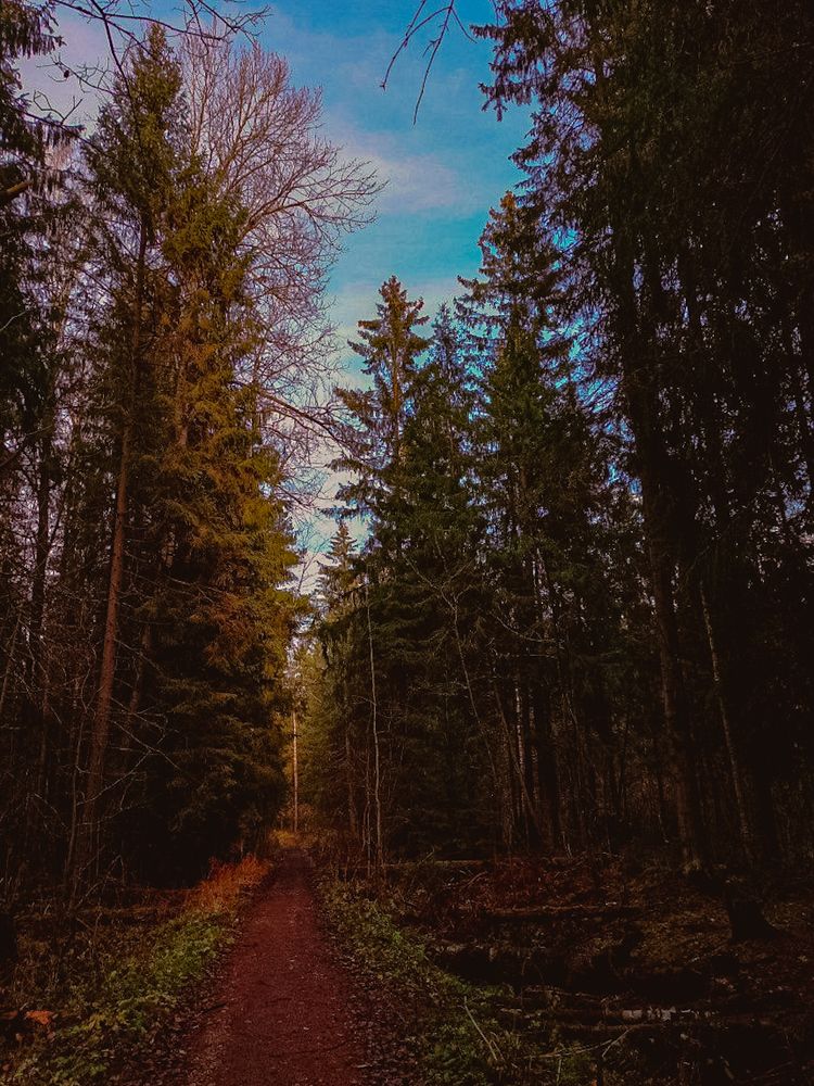 Photograph by Мария Бурик