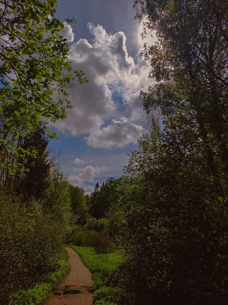 Photograph by Мария Бурик