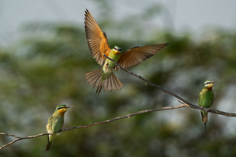 Фотография автора Prejul Prakash