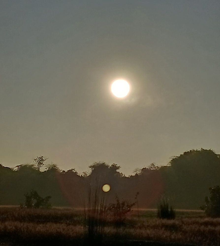 Photograph by Giridhari Kisku