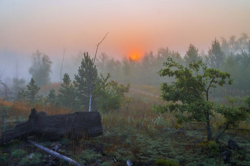 Photograph by Александр Строков