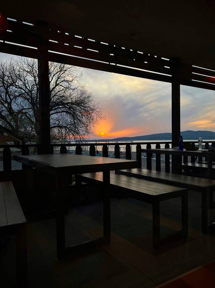 Фотография автора Анастасия Сироткина