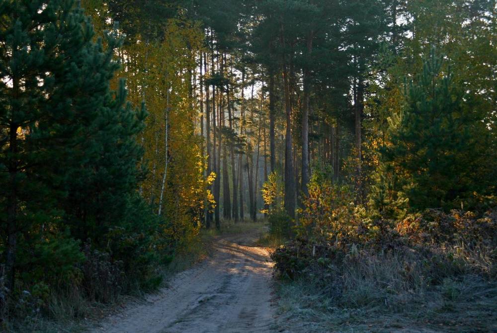 Photograph by Сергей Зятиков