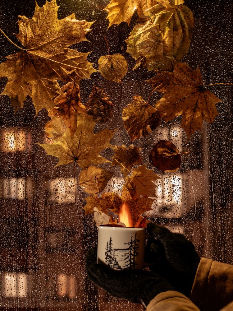 Фотография автора Юрий Володин