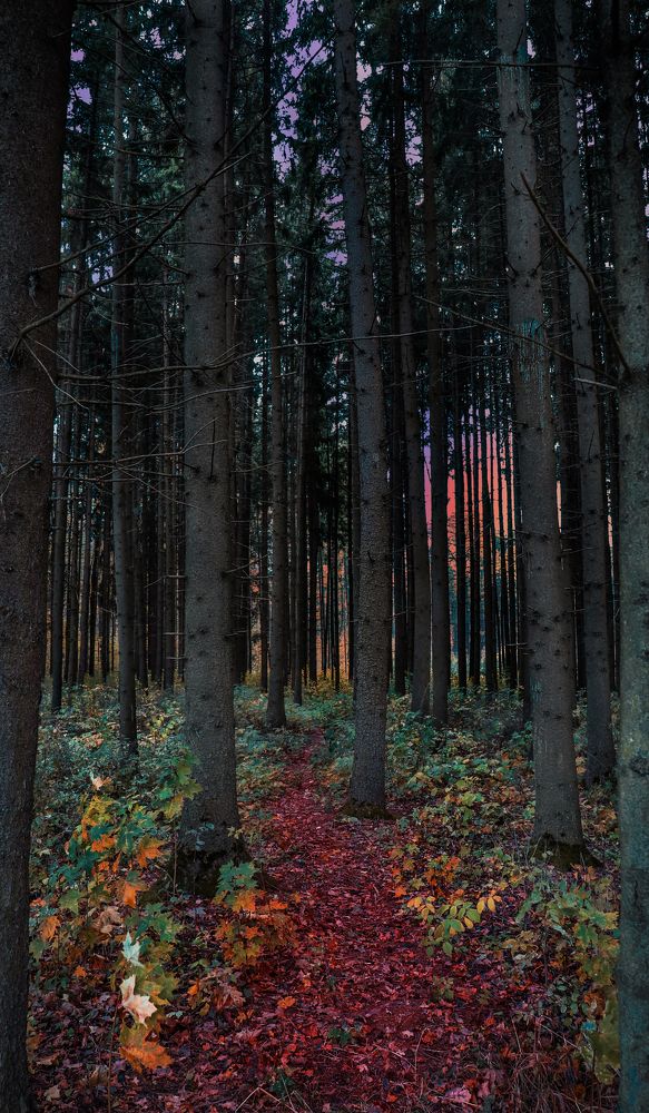 Photograph by Анастасия Семилетова