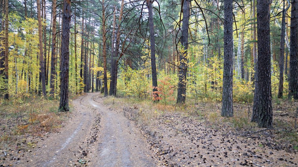 Photograph by Владимир Коровин